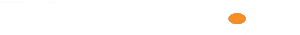 BigVision Logo