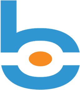BigVision Logo